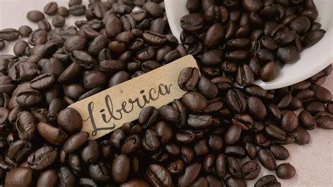Coffee .